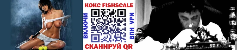 COCAIN Эквадор  Купить закладки  Приморск 
