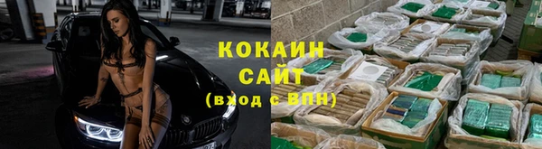 гашик Дмитровск