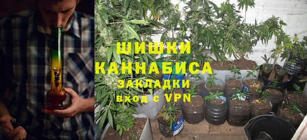 гашик Дмитровск