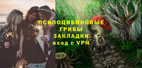 твердый Дмитриев