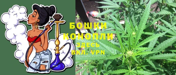 твердый Дмитриев