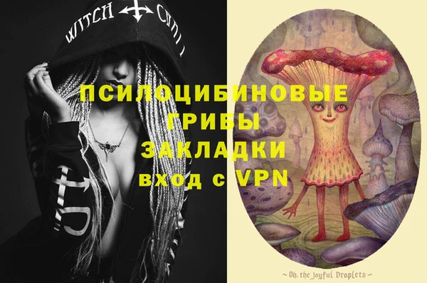 гашик Дмитровск