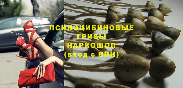 ECSTASY Дмитров