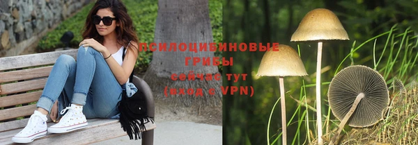 твердый Дмитриев