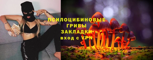 ECSTASY Дмитров