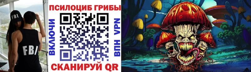 Купить закладки  Приморск  Галлюциногенные грибы MAGIC MUSHROOMS 